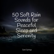50 Soft Rain Sounds for Peaceful Sleep and Serenity
