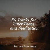 50 Tracks for Inner Peace and Meditation