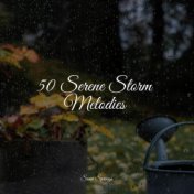 50 Serene Storm Melodies