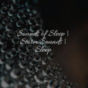 Sounds of Sleep | Storm Sounds | Sleep