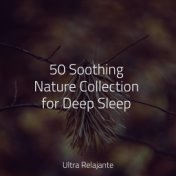 50 Soothing Nature Collection for Deep Sleep