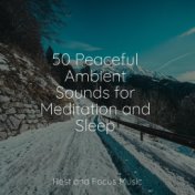 50 Peaceful Ambient Sounds for Meditation and Sleep