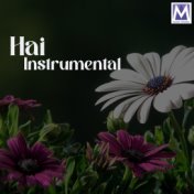 Hai Instrumental