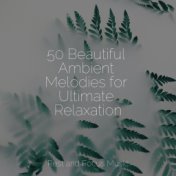 50 Beautiful Ambient Melodies for Ultimate Relaxation