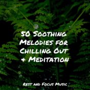 50 Soothing Melodies for Chilling Out & Meditation