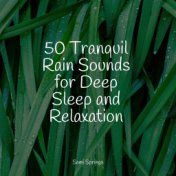 50 Tranquil Rain Sounds for Deep Sleep and Relaxation