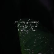 50 Easy Listening Rain for Spa & Chilling Out
