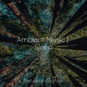 Ambient Music | Sleep