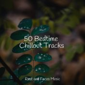 50 Bedtime Chillout Tracks