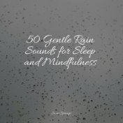 50 Gentle Rain Sounds for Sleep and Mindfulness
