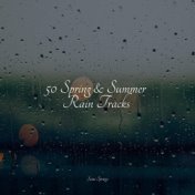 50 Spring & Summer Rain Tracks