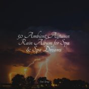 50 Ambient Autumn Rain Album for Spa & Spa Dreams