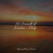 50 Sounds of Nature | Sleep