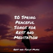 50 Spring Peaceful Songs for Rest and Meditation