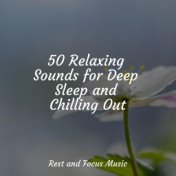 50 Relaxing Sounds for Deep Sleep and Chilling Out