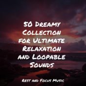 50 Dreamy Collection for Ultimate Relaxation and Loopable Sounds