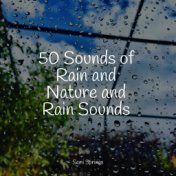 50 Sounds of Rain and Nature and Rain Sounds