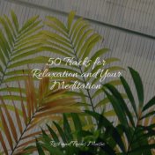 50 Tracks for Relaxation and Your Meditation