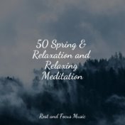 50 Spring & Relaxation and Relaxing Meditation