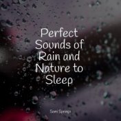 Perfect Sounds of Rain and Nature to Sleep