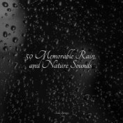 50 Memorable Rain and Nature Sounds