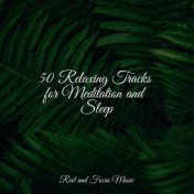 50 Relaxing Tracks for Meditation and Sleep