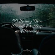 50 Spring Rain Sounds for Sleep and Serenity