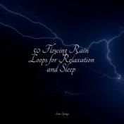 50 Flowing Rain Loops for Relaxation and Sleep