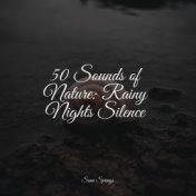 50 Sounds of Nature: Rainy Nights Silence