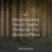 50 Recopilaciones Para El Sueño Profundo Y la Atención Plena