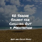 50 Serene Sounds for Chilling Out & Meditation