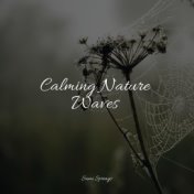 Calming Nature Waves