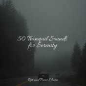 50 Tranquil Sounds for Serenity