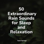 50 Extraordinary Rain Sounds for Sleep and Relaxation