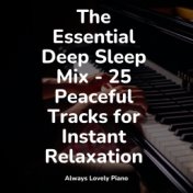 The Essential Deep Sleep Mix - 25 Peaceful Tracks for Instant Relaxation