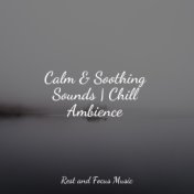 Calm & Soothing Sounds | Chill Ambience