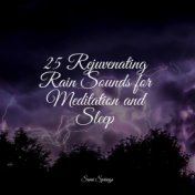 25 Rejuvenating Rain Sounds for Meditation and Sleep