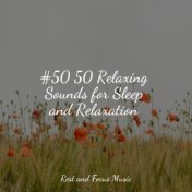 #50 50 Relaxing Sounds for Sleep and Relaxation