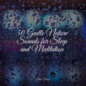 50 Gentle Nature Sounds for Sleep and Meditation