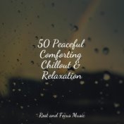 50 Peaceful Comforting Chillout & Relaxation