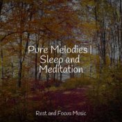 Pure Melodies | Sleep and Meditation