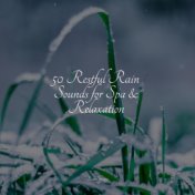 50 Restful Rain Sounds for Spa & Relaxation