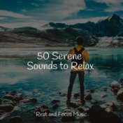 50 Serene Sounds to Relax
