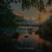 Música de Tranquilidad Para El Primavera