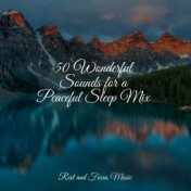50 Wonderful Sounds for a Peaceful Sleep Mix