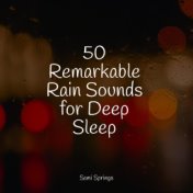 50 Remarkable Rain Sounds for Deep Sleep