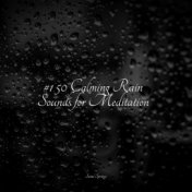 #1 50 Calming Rain Sounds for Meditation