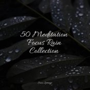50 Meditation Focus Rain Collection