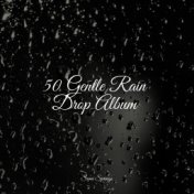 50 Gentle Rain Drop Album