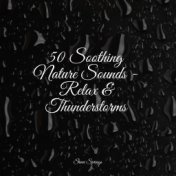 50 Soothing Nature Sounds - Relax & Thunderstorms